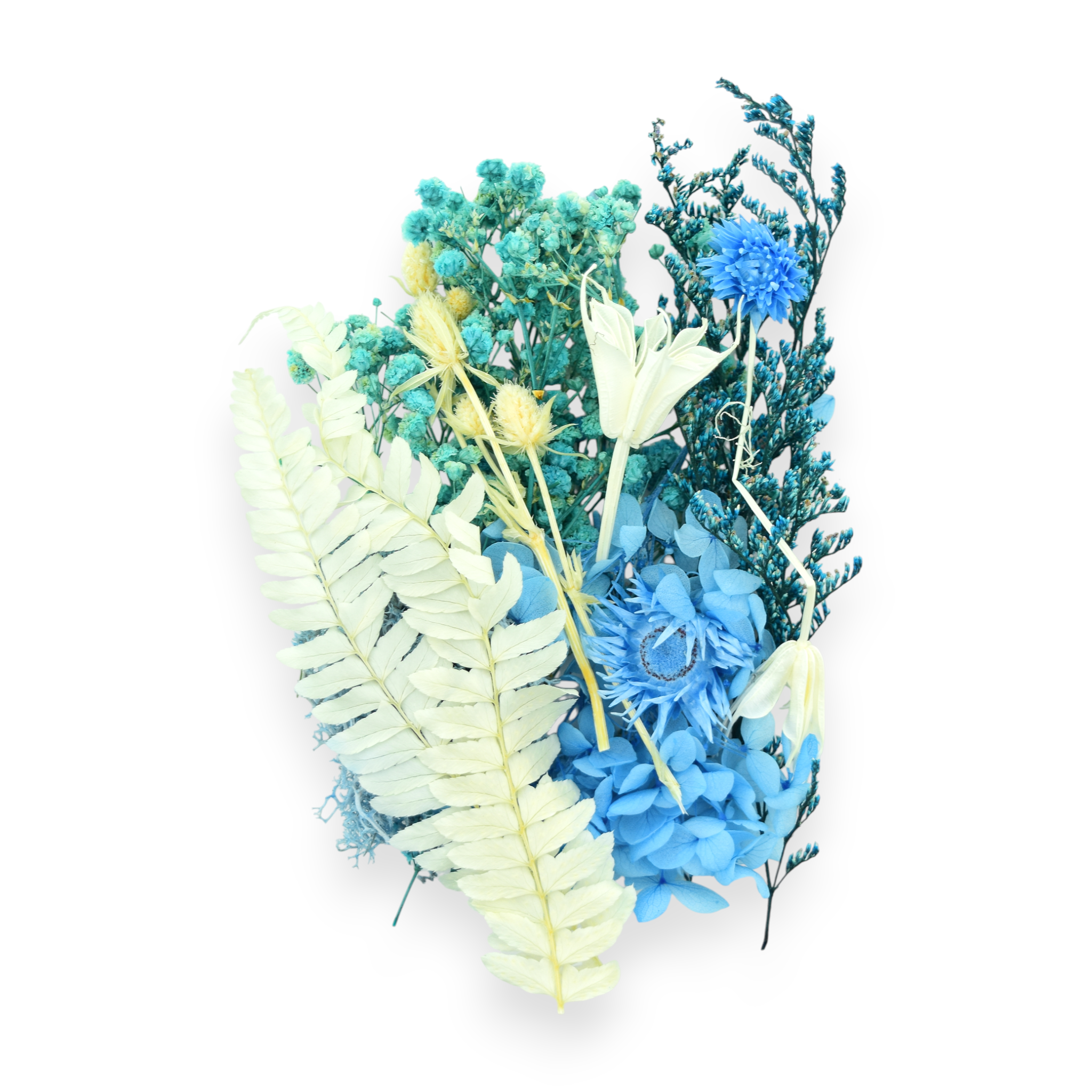 Dried Flowers - Blue